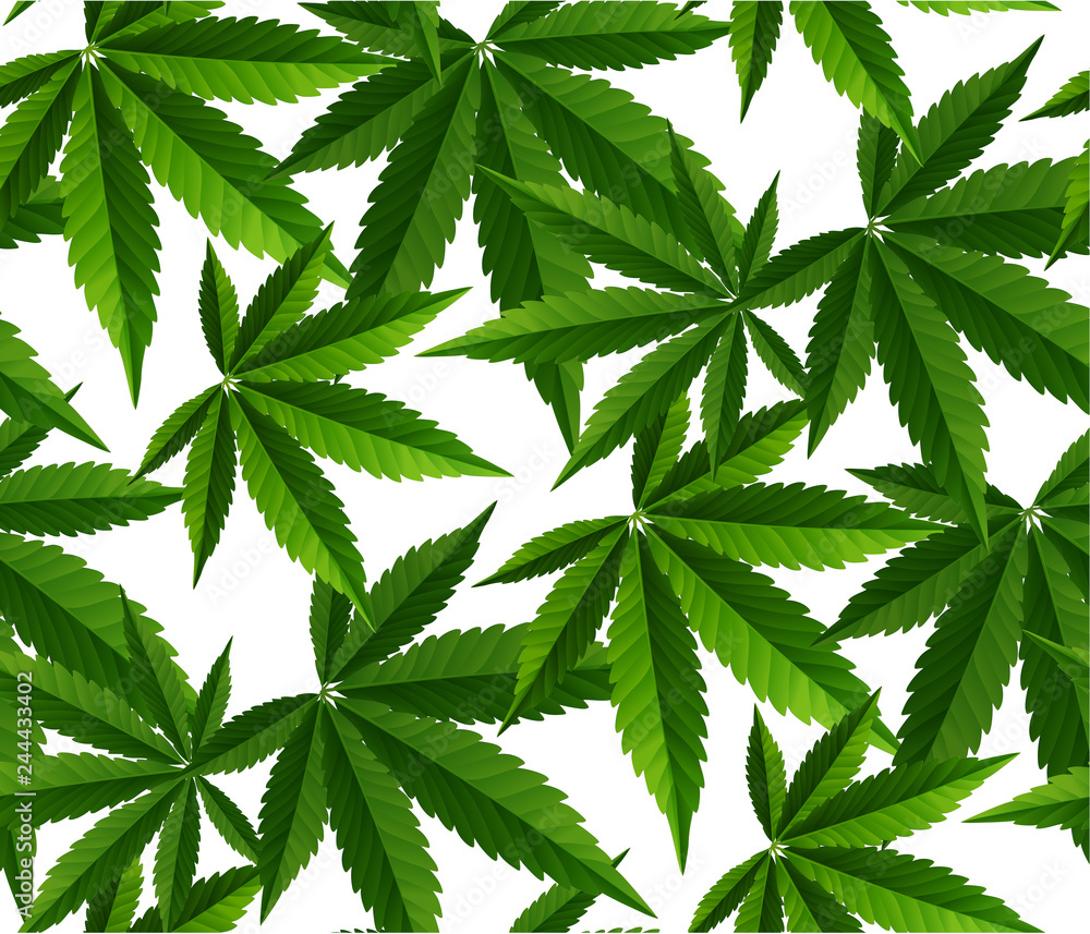 Marijuana leaves seamless vector pattern.