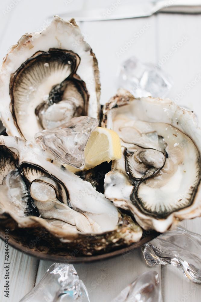 Delicious oysters with lemon, seafood delicacy