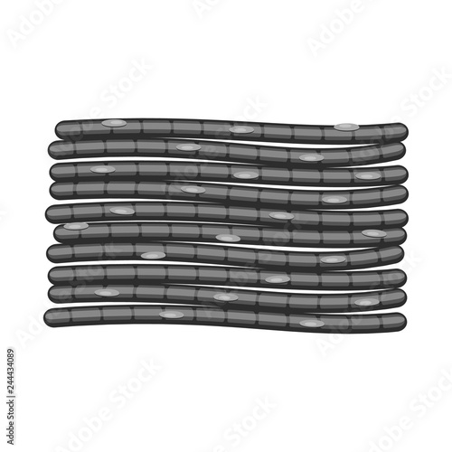 Vector illustration of muscle and cells icon. Set of muscle and anatomy stock vector illustration.