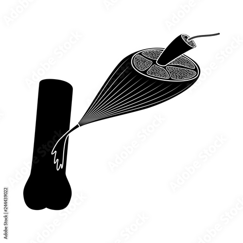 Vector design of muscle and cells logo. Set of muscle and anatomy stock symbol for web.
