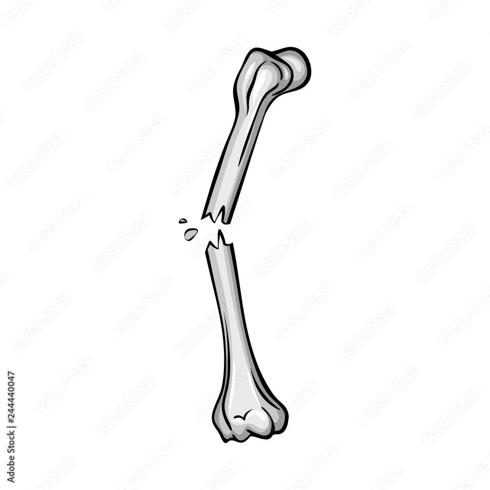Fototapeta premium Vector illustration of bone and skeleton symbol. Set of bone and human stock vector illustration.