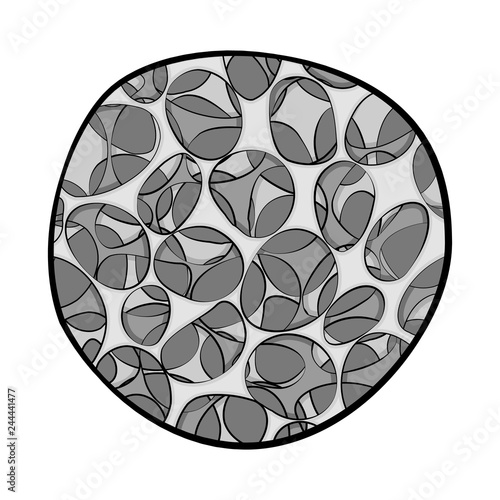 Vector illustration of bone and skeleton symbol. Set of bone and human stock vector illustration.
