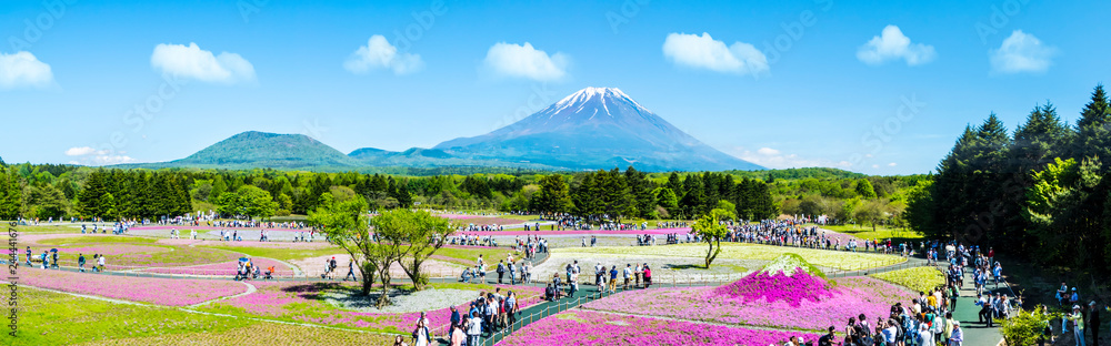 Φωτογραφία The Fuji with the field of pink moss at Shibazakura festival, Yamanashi, Japan
