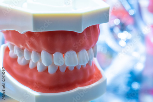 Jaw with teeth. Dentistry W...