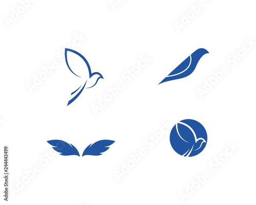 Dove Bird Logo Template