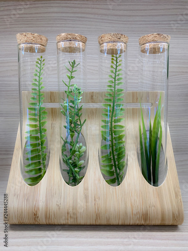 Small plant specimens in tissue culture concept tubes: