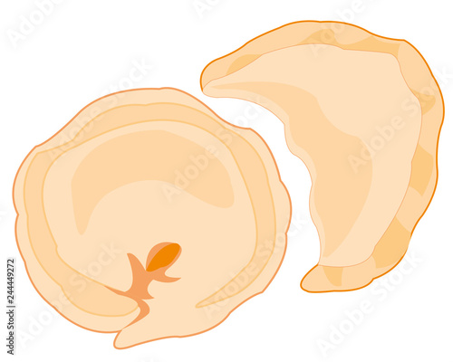 Meal meat dumplings on white background insulated