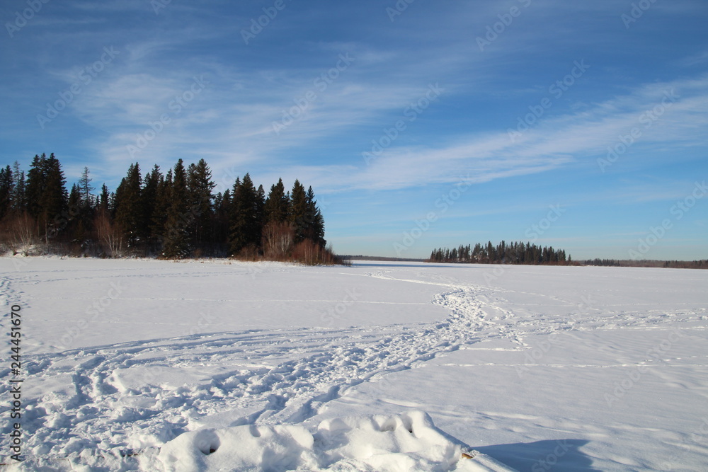 Tracks To The Island, Elk Island National Park, Alberta Tracks To The Island, Elk Island National Park, Alberta