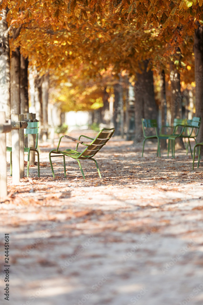 Autumn in Paris. Garden Tuileries.