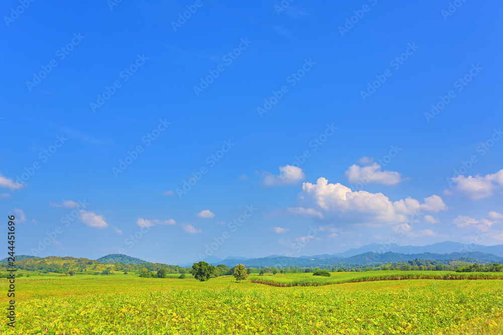 Beautiful cloud on blue sky in green field and mountains. Landscape scenery background.