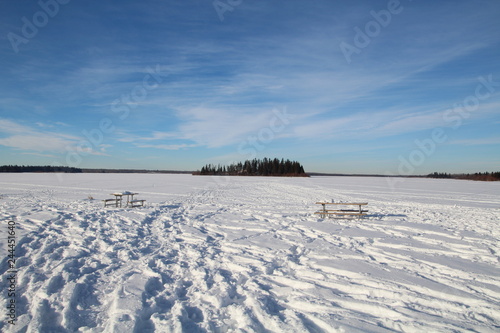 Winter On The Lake  Elk Island National Park  Alberta