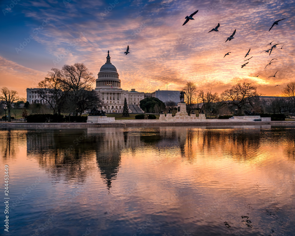 Sunrise flight over the Capitol reflecting pool