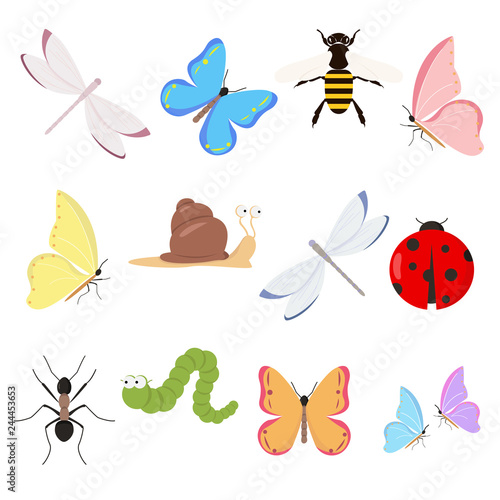 Insects set on white background for graphic and web design, Modern simple vector sign. Internet concept. Trendy symbol for website design web button or mobile app © Andre