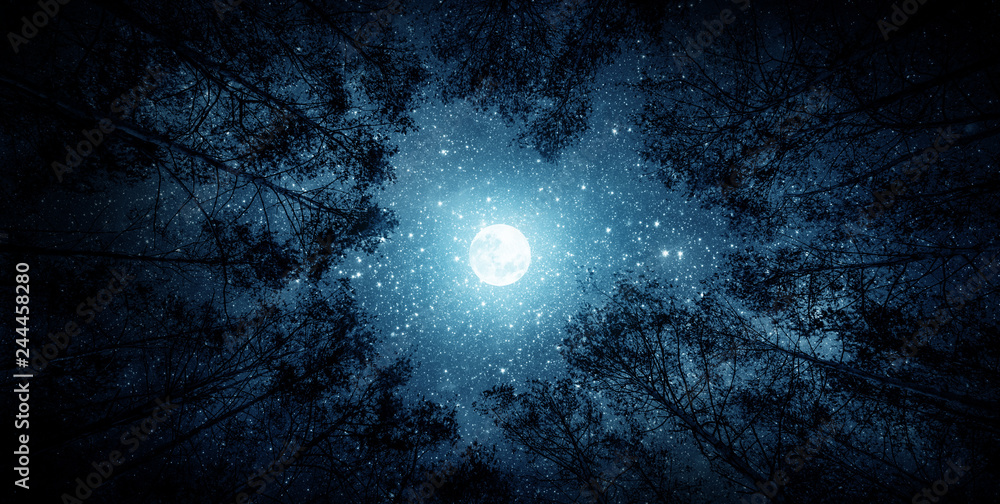 Naklejka premium Piękne nocne niebo, Droga Mleczna, księżyc i drzewa. Elementy tego zdjęcia dostarczone przez NASA.