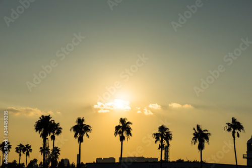 お台場の夕景