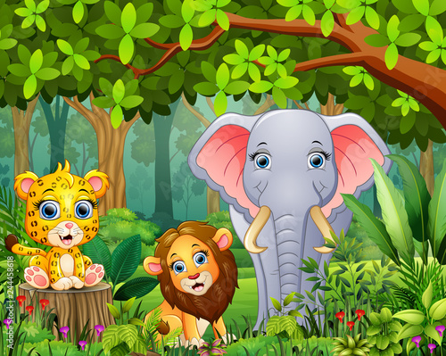 Cartoon of the forest landscape with different animals