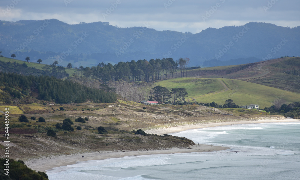 Rugged coast of Tawharanui Peninsula with patches of forest and farmland and bays with flat sandy beaches.