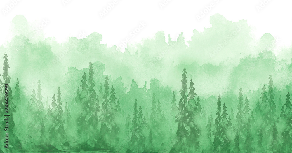 Fototapeta Akwarela grupa drzew - jodła, sosna, cedr, jodła. zielony las, krajobraz, krajobraz leśny. Rysunek na białym tle na białym tle. Mglisty las w haz. Plakat ekologiczny. Malarstwo akwarelowe