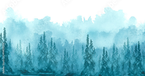 Watercolor art illustration. Drawing of the blue forest  pine tree  spruce  cedar. Dark  dense forest  suburban landscape. Postcard  logo  card. Misty forest  haze.