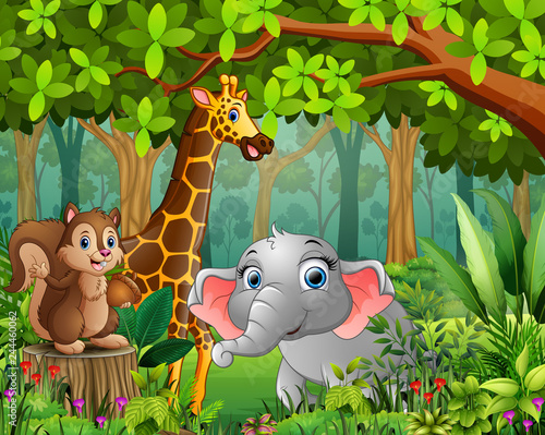 Cartoon of the forest landscape with different animals