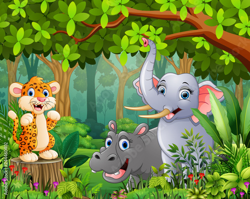 Landscape forest cartoon of green with wild animal