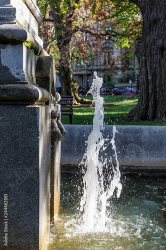 The Lion of the Fountain