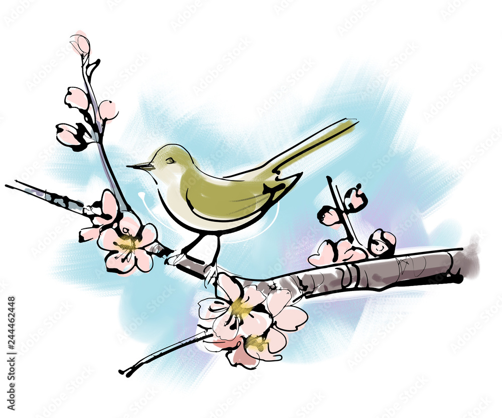 梅の枝とウグイス Stock イラスト Adobe Stock