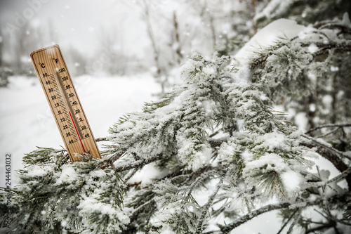 thermometer with sub-zero temperatures on the branch of a tree in winter forest