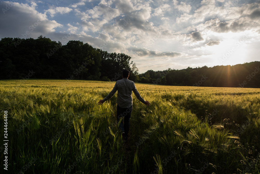 Man in the Field Man in the Field