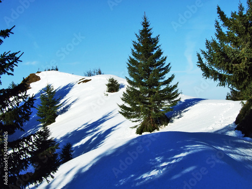 Views and winter ambiance at the top of Spitzli near the Urnasch settlement - Canton of Appenzell Ausserrhoden, Switzerland photo