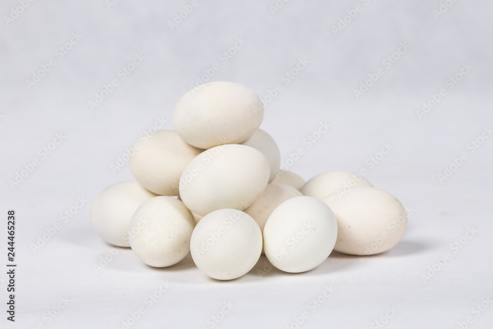 Duck egg on white background