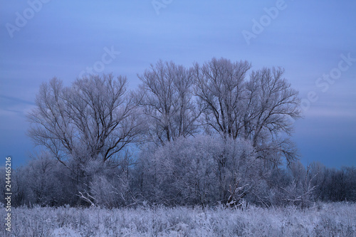 winter landscape at dusk