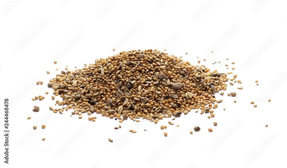 Mixed bird seeds, millet pile isolated on white background Mixed bird seeds, millet pile isolated on white background