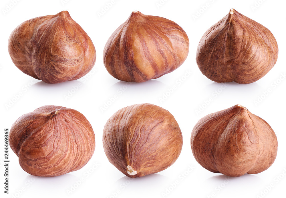 Hazelnut collection isolated on white background. Hazelnut collection isolated on white background.