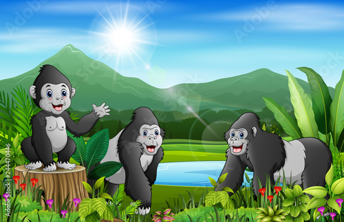 Cartoon of the nature landscape with gorilla group