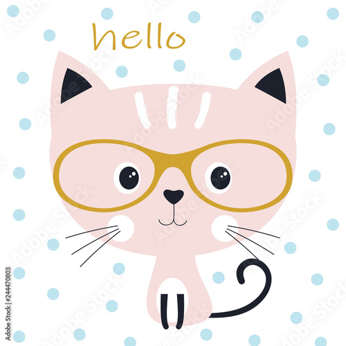 cute cat in the glasses