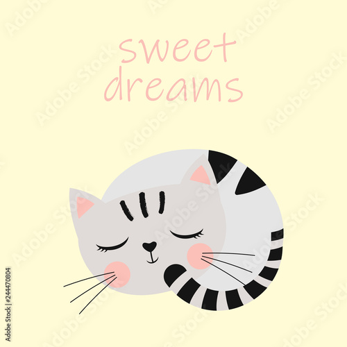 cute sleeping cat