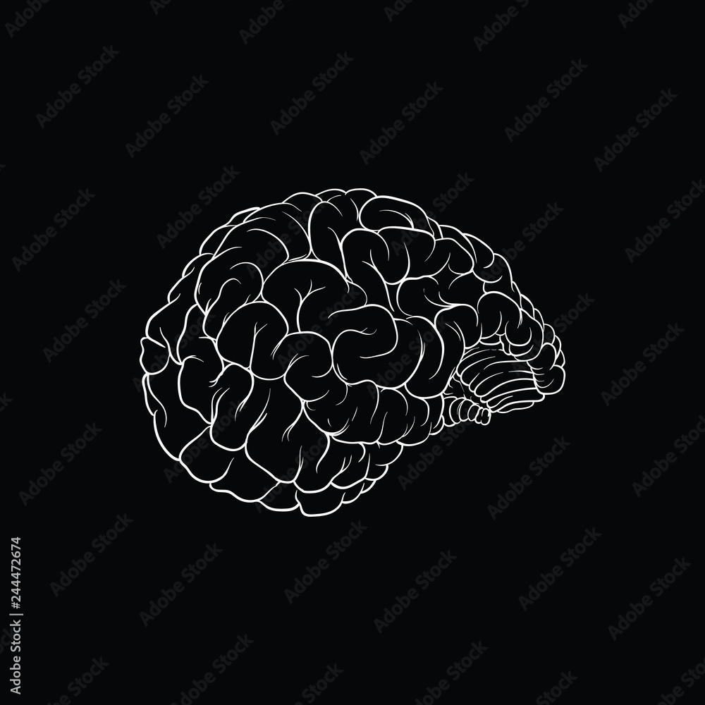 Realistic illustration of the human brain on black background, vector Stock  Vector | Adobe Stock