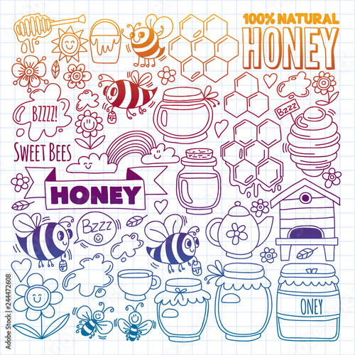 Vector image of bees, organic farm honey. Pattern with summer flowers. Healthy food.