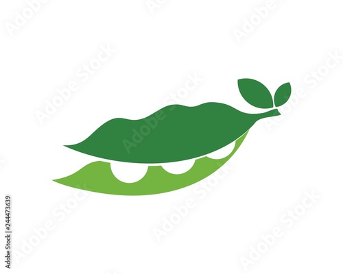 Green bean seed