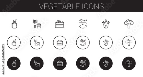vegetable icons set