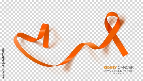 National Kidney Cancer Awareness Month. Orange Color Ribbon Isolated On Transparent Background. Vector Design Template For Poster.