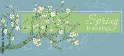 Spring is coming - vector banner with the words. Boho style. Landscape with flowers on the branches of trees in a Park or forest on a background of blue sky with clouds.