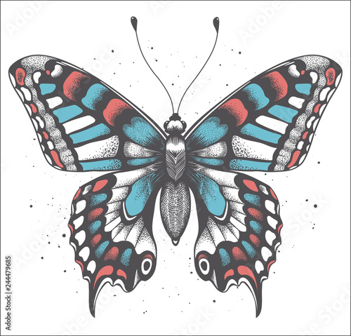 Tropica butterfly with shadow on white background with vector dust. Realistic illustration for tattoo butterfly