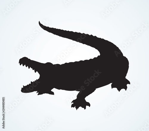 Crocodile. Vector drawing