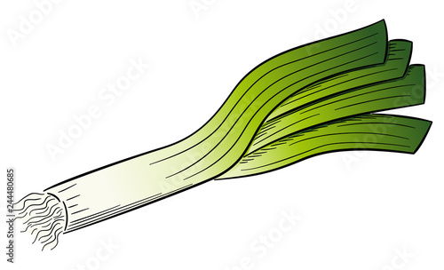 drawn cartoon leek stick