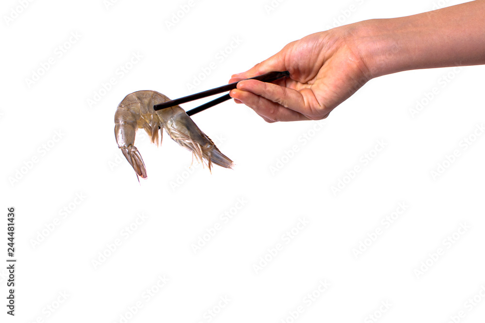 Hand holding raw shrimp isolated