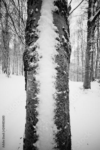 parco nazionale d'Abruzzo
