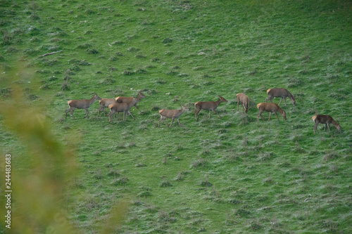 parco nazionale d Abruzzo