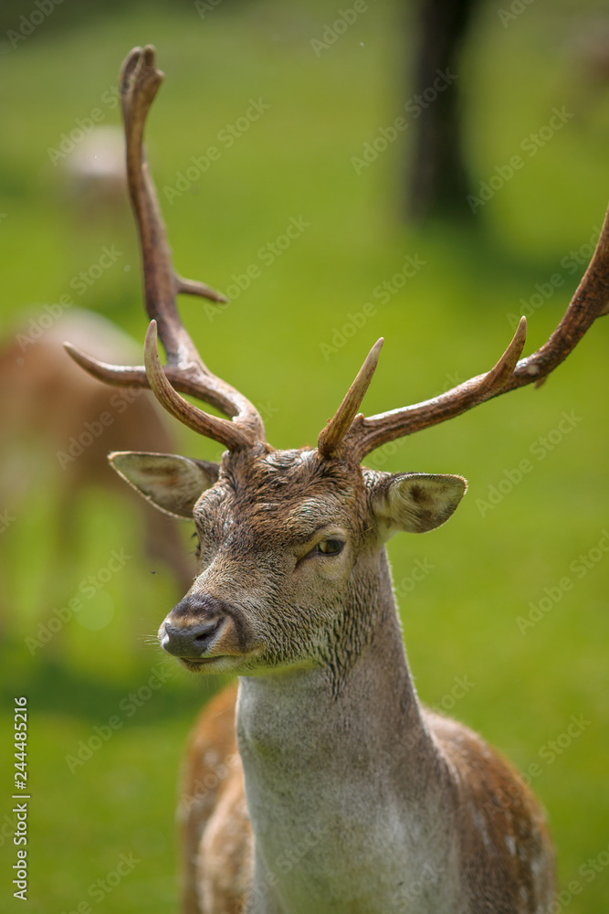 parco nazionale d'Abruzzo